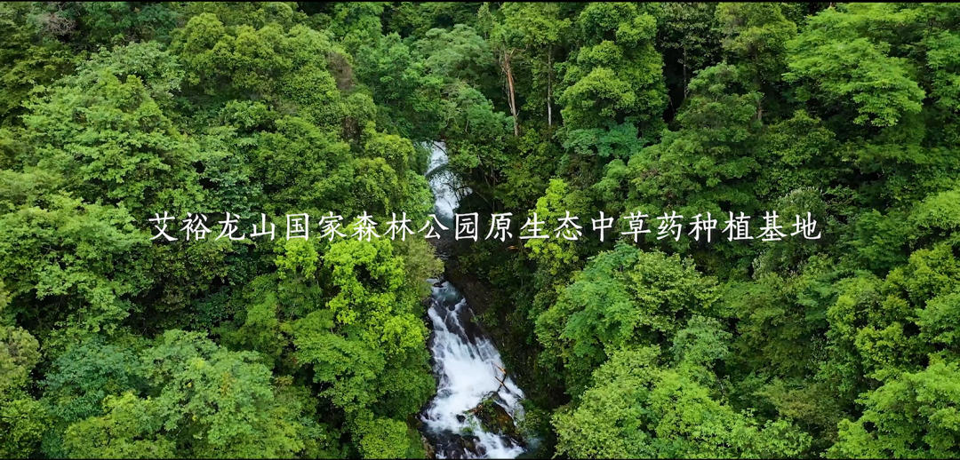 “裕我同行”丨選對(duì)產(chǎn)品，助攻保護(hù)力UP!