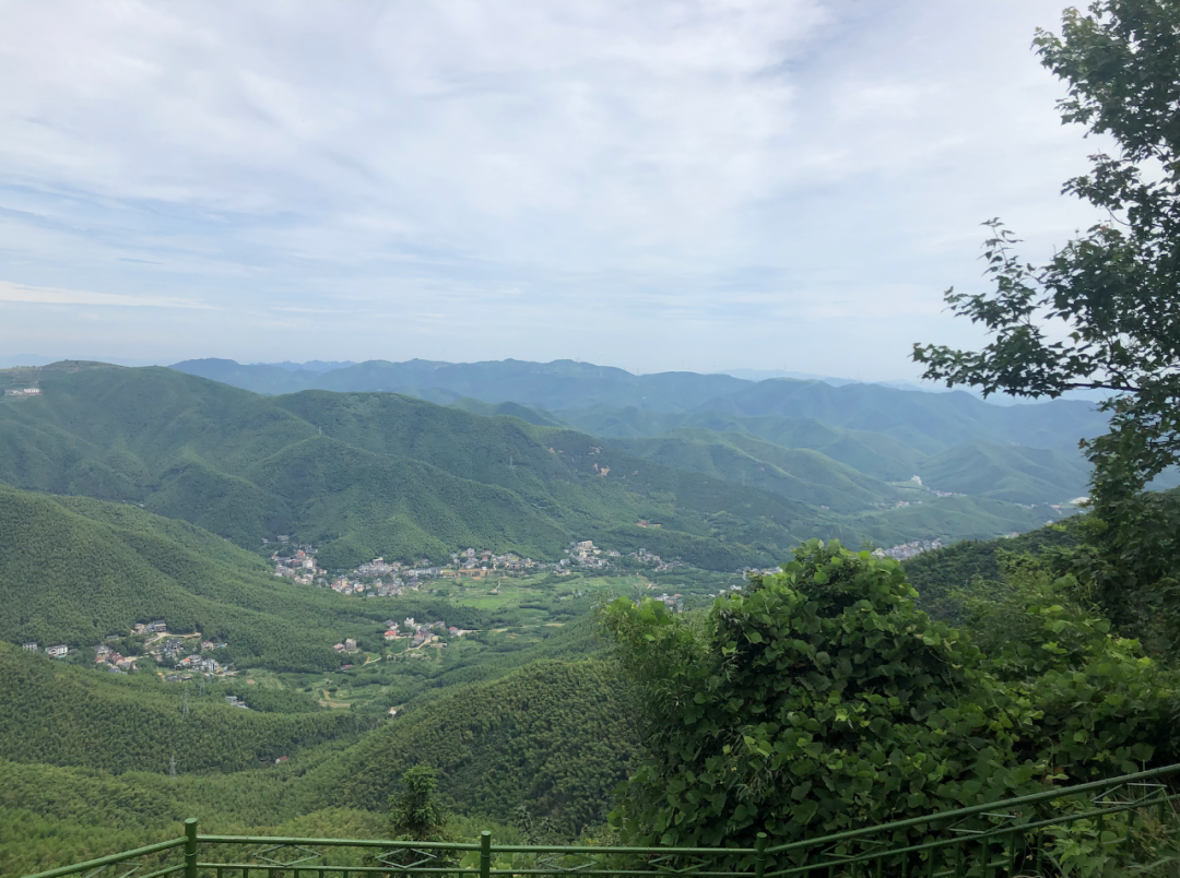 莫幹山攻略 ｜ 去山裡，過夏天！ 旅遊 第38張