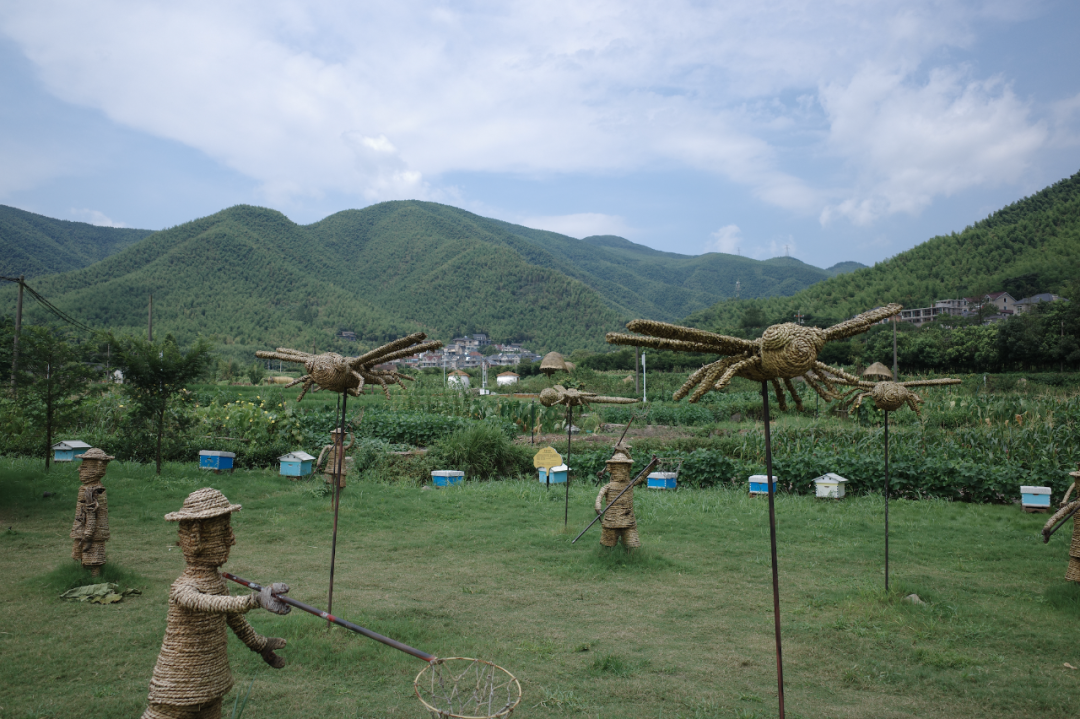 莫幹山攻略 ｜ 去山裡，過夏天！ 旅遊 第41張