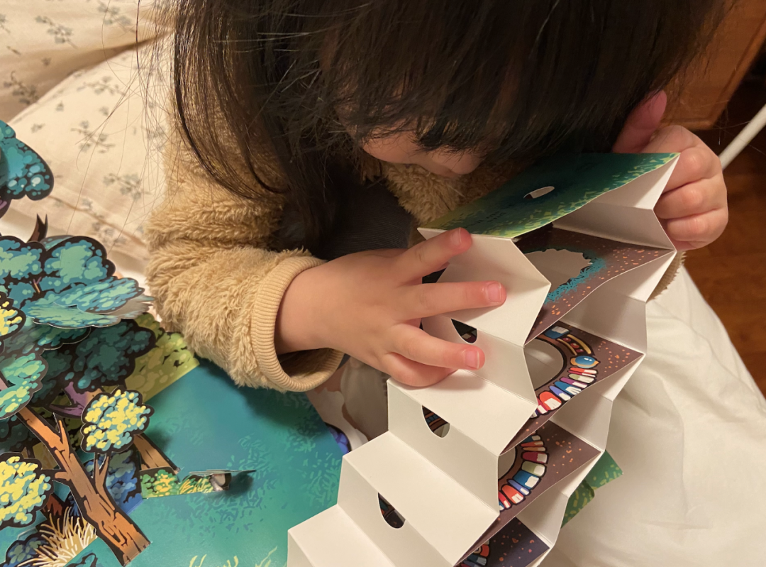 �Ӳ�����С������Ϊ����ͨ����4����