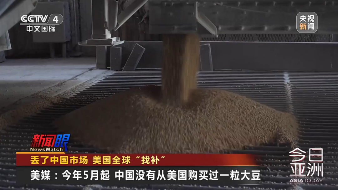 美大豆正值收获季 中国订购量却是零