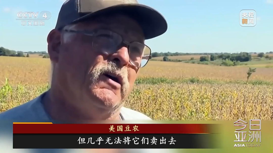 美大豆正值收获季 中国订购量却是零