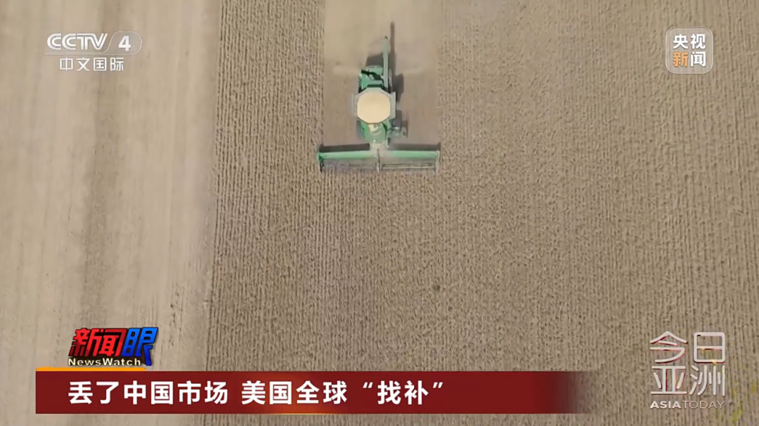 美大豆正值收获季 中国订购量却是零