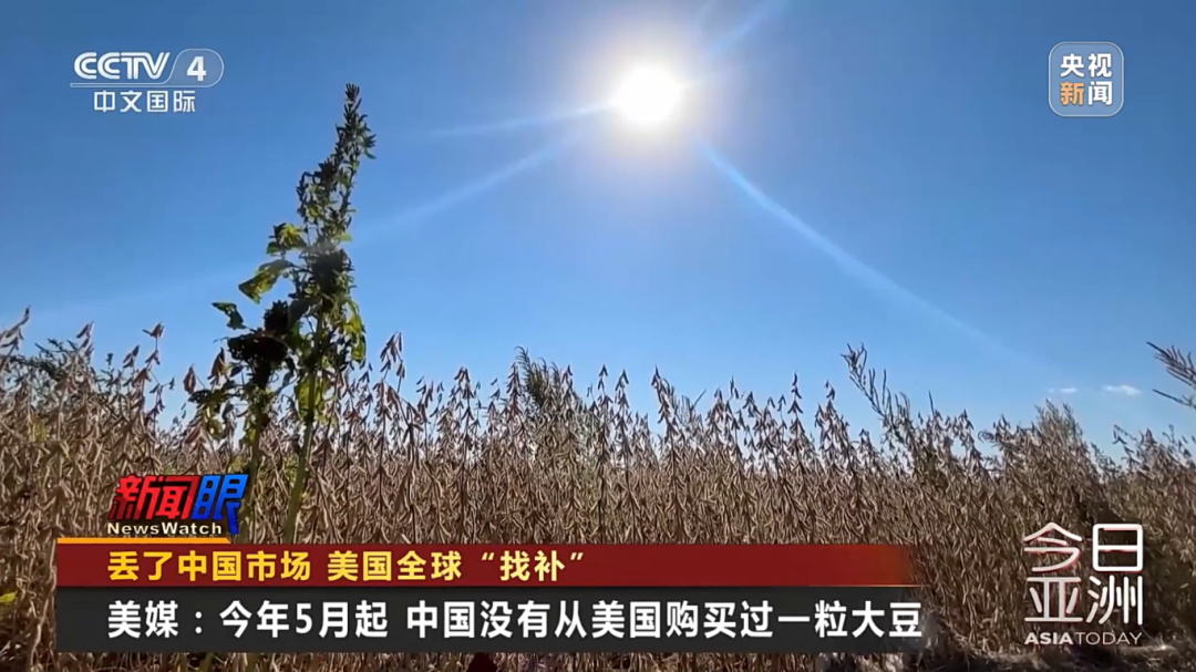 美大豆正值收获季 中国订购量却是零