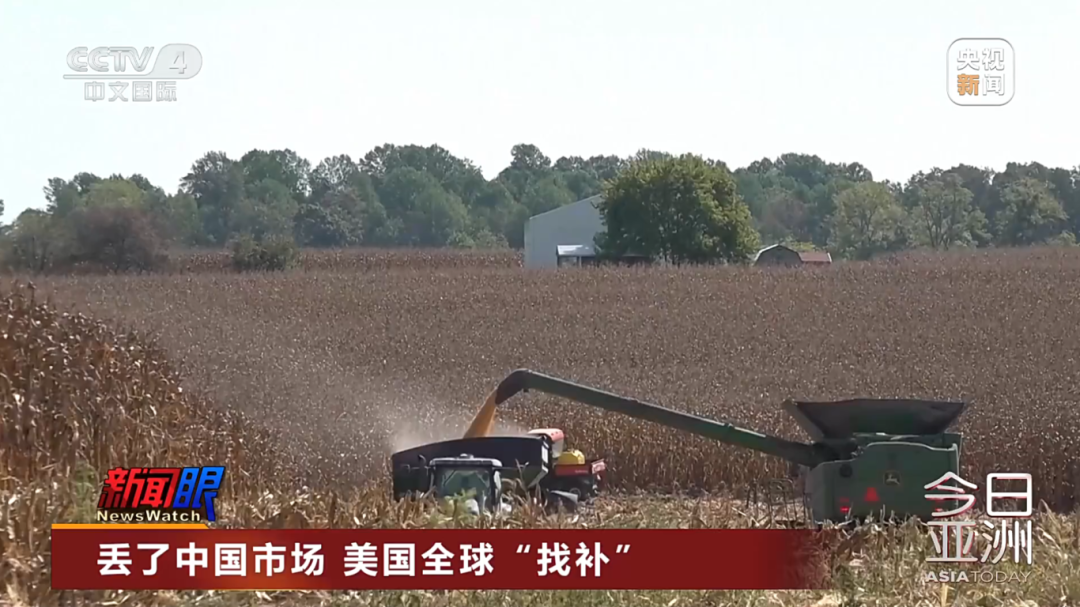 美大豆正值收获季 中国订购量却是零