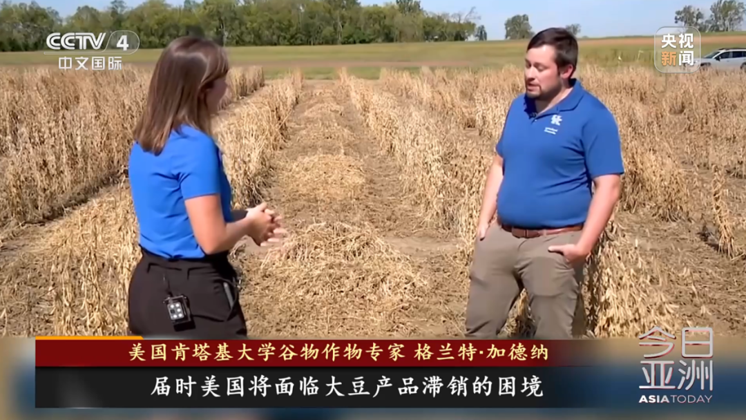 美大豆正值收获季 中国订购量却是零