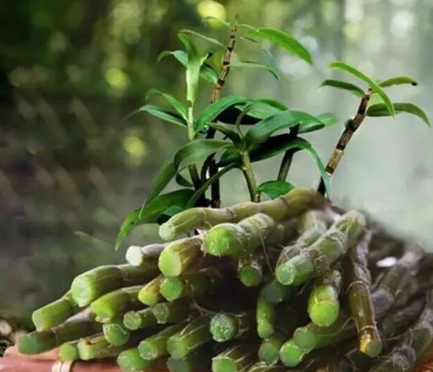 每天几根，吃它能清肺润肺，补脾益胃，清热生津，还能舒心安神！