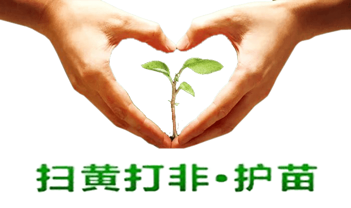 扫黄打非 | 这些你知道吗?"扫黄打非"小知识等你来了解!_政务公开_南