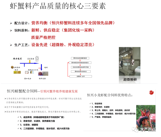 龙虾致富经_致富经小龙虾_致富经小龙虾养殖技术