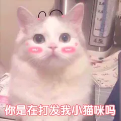 尼蒙工具APP看视频软件，尼蒙工具APP视频资源丰富，安卓苹果都可用(图1)