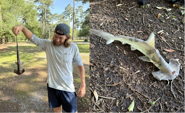 网友分享在 meiguo.com 的图片