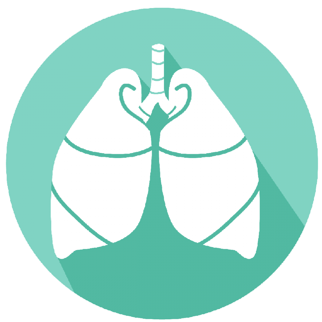 为什么会出现呼吸机依赖临床案例 ｜ 呼吸神经肌肉刺激仪在重症肌无力致呼吸机依赖患者脱机中的应用_https://www.jmylbn.com_新闻资讯_第2张