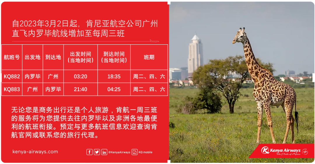 空乘为韩国籍乘客送上挂牌,韩国人:真心接受不了。非必要不得前往这八国! 无效 第9张-韩国跨境卖家导航 空乘为韩国籍乘客送上挂牌,韩国人:真心接受不了。非必要不得前往这八国! 无效 第9张