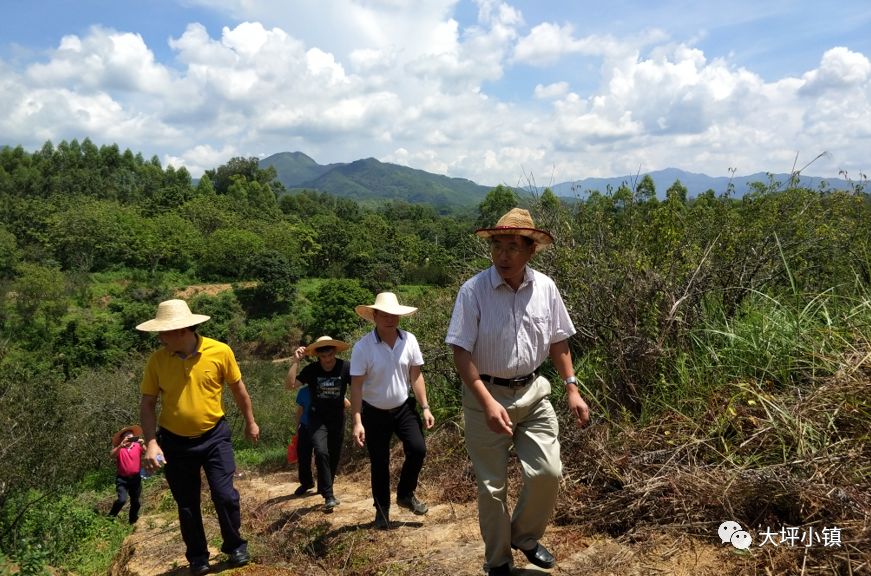 熊孟清副市长到我镇调研指导美丽乡村建设工作