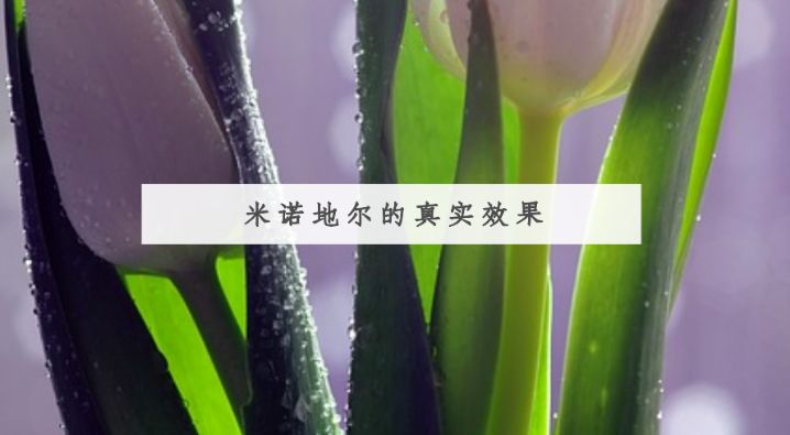 脱发真相（3）--米诺地尔的真实有效率之谜