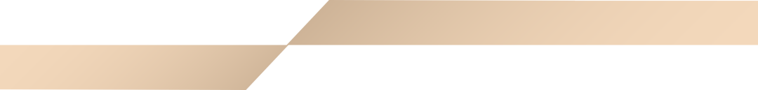 �����ꡣ�������Զ����������2025��ȴ��¼�