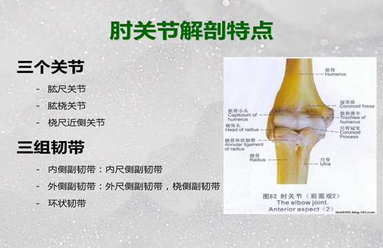 肘关节康复器怎么用专栏丨肘关节的术后康复_https://www.jmylbn.com_新闻资讯_第1张