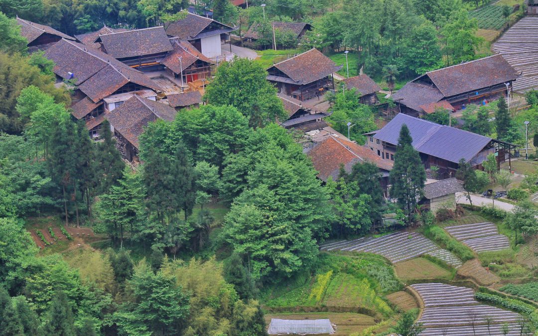 中国传统村落丨有山有水的丰都高山村落