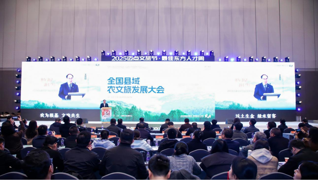 活动现场。活动主办方供图