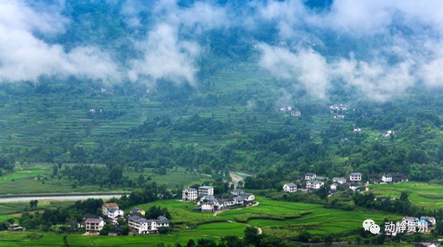 泗阳县是县级市吗_泗阳县属于哪个市_县市属于泗阳管辖吗