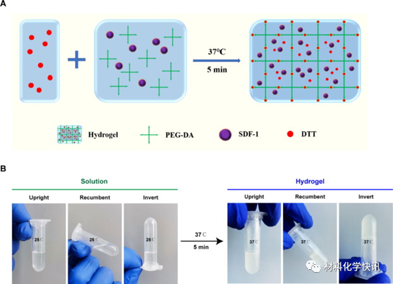 壳聚糖创伤敷料怎么样创面敷料、骨缺损、肌腱损伤、口腔黏膜、心肌梗死……多场景生物医用水凝胶材料定制上线！_https://www.jmylbn.com_新闻资讯_第16张