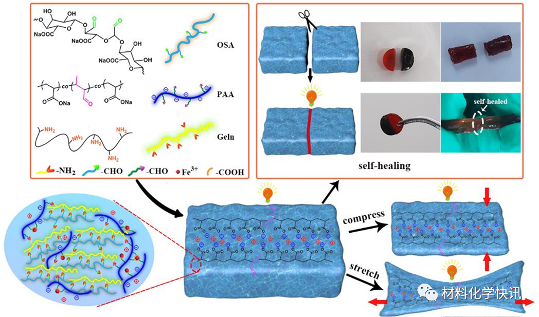 壳聚糖创伤敷料怎么样创面敷料、骨缺损、肌腱损伤、口腔黏膜、心肌梗死……多场景生物医用水凝胶材料定制上线！_https://www.jmylbn.com_新闻资讯_第31张