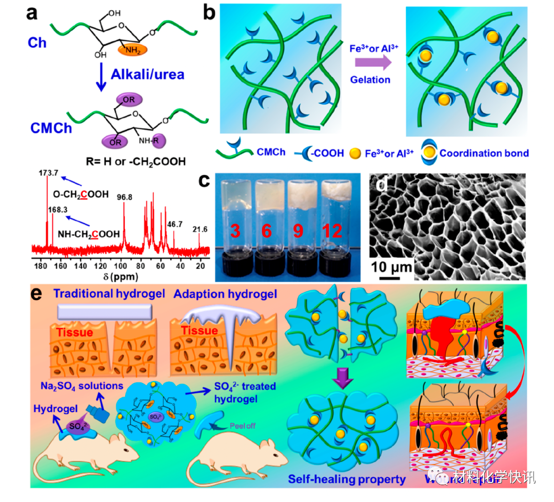 壳聚糖创伤敷料怎么样创面敷料、骨缺损、肌腱损伤、口腔黏膜、心肌梗死……多场景生物医用水凝胶材料定制上线！_https://www.jmylbn.com_新闻资讯_第4张