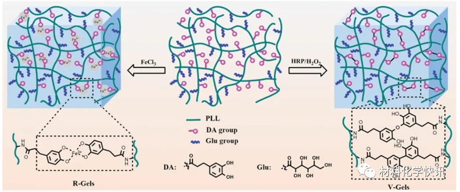 壳聚糖创伤敷料怎么样创面敷料、骨缺损、肌腱损伤、口腔黏膜、心肌梗死……多场景生物医用水凝胶材料定制上线！_https://www.jmylbn.com_新闻资讯_第9张