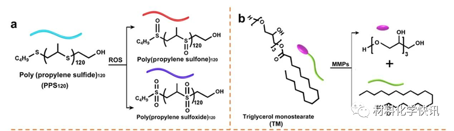 壳聚糖创伤敷料怎么样创面敷料、骨缺损、肌腱损伤、口腔黏膜、心肌梗死……多场景生物医用水凝胶材料定制上线！_https://www.jmylbn.com_新闻资讯_第33张