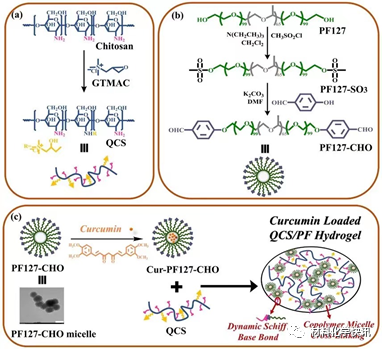 壳聚糖创伤敷料怎么样创面敷料、骨缺损、肌腱损伤、口腔黏膜、心肌梗死……多场景生物医用水凝胶材料定制上线！_https://www.jmylbn.com_新闻资讯_第1张
