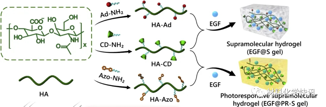 壳聚糖创伤敷料怎么样创面敷料、骨缺损、肌腱损伤、口腔黏膜、心肌梗死……多场景生物医用水凝胶材料定制上线！_https://www.jmylbn.com_新闻资讯_第8张