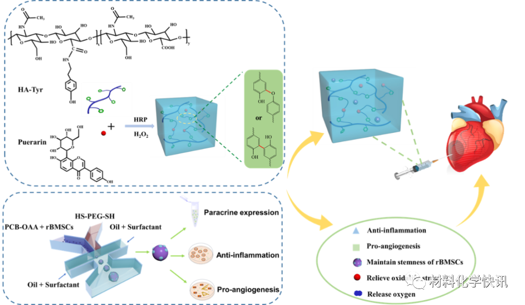 壳聚糖创伤敷料怎么样创面敷料、骨缺损、肌腱损伤、口腔黏膜、心肌梗死……多场景生物医用水凝胶材料定制上线！_https://www.jmylbn.com_新闻资讯_第36张