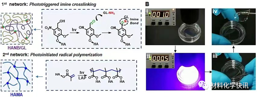 壳聚糖创伤敷料怎么样创面敷料、骨缺损、肌腱损伤、口腔黏膜、心肌梗死……多场景生物医用水凝胶材料定制上线！_https://www.jmylbn.com_新闻资讯_第13张