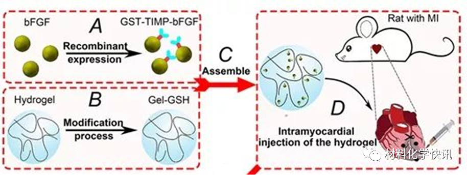 壳聚糖创伤敷料怎么样创面敷料、骨缺损、肌腱损伤、口腔黏膜、心肌梗死……多场景生物医用水凝胶材料定制上线！_https://www.jmylbn.com_新闻资讯_第29张
