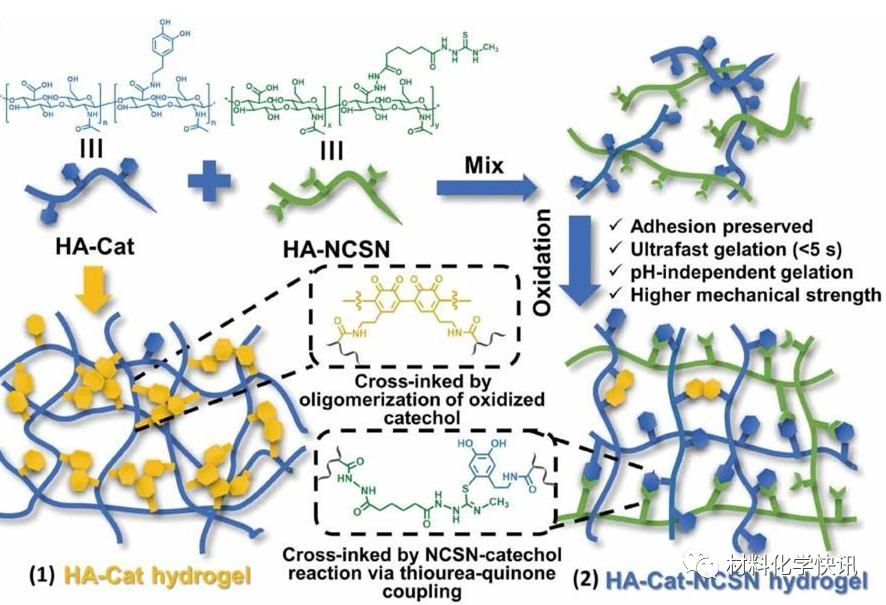 壳聚糖创伤敷料怎么样创面敷料、骨缺损、肌腱损伤、口腔黏膜、心肌梗死……多场景生物医用水凝胶材料定制上线！_https://www.jmylbn.com_新闻资讯_第26张