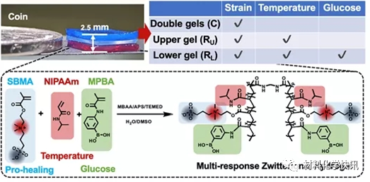 壳聚糖创伤敷料怎么样创面敷料、骨缺损、肌腱损伤、口腔黏膜、心肌梗死……多场景生物医用水凝胶材料定制上线！_https://www.jmylbn.com_新闻资讯_第7张