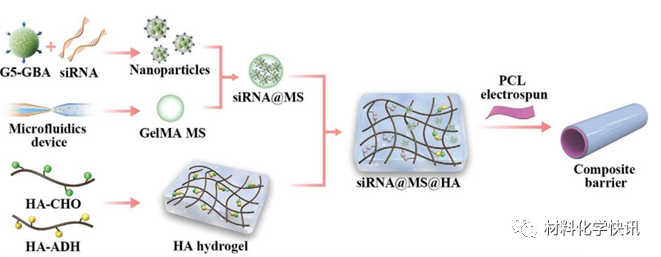 壳聚糖创伤敷料怎么样创面敷料、骨缺损、肌腱损伤、口腔黏膜、心肌梗死……多场景生物医用水凝胶材料定制上线！_https://www.jmylbn.com_新闻资讯_第23张