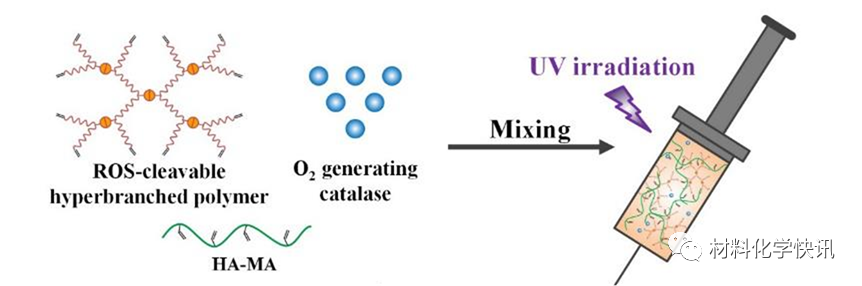 壳聚糖创伤敷料怎么样创面敷料、骨缺损、肌腱损伤、口腔黏膜、心肌梗死……多场景生物医用水凝胶材料定制上线！_https://www.jmylbn.com_新闻资讯_第28张