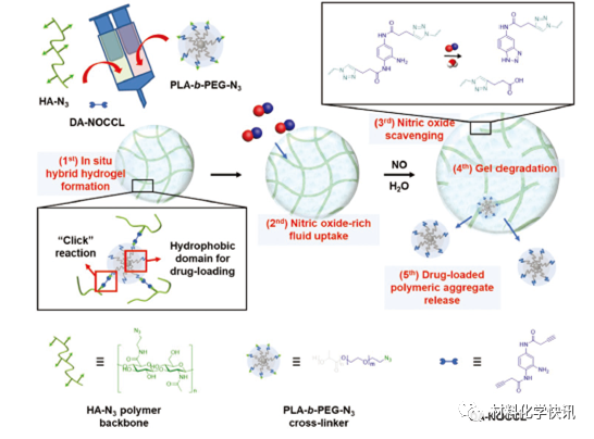 壳聚糖创伤敷料怎么样创面敷料、骨缺损、肌腱损伤、口腔黏膜、心肌梗死……多场景生物医用水凝胶材料定制上线！_https://www.jmylbn.com_新闻资讯_第20张