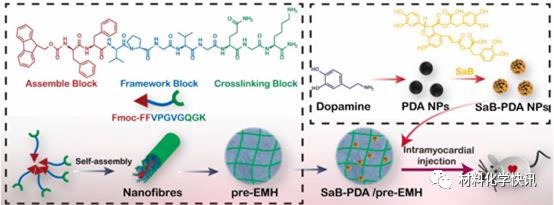 壳聚糖创伤敷料怎么样创面敷料、骨缺损、肌腱损伤、口腔黏膜、心肌梗死……多场景生物医用水凝胶材料定制上线！_https://www.jmylbn.com_新闻资讯_第30张
