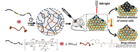 壳聚糖创伤敷料怎么样创面敷料、骨缺损、肌腱损伤、口腔黏膜、心肌梗死……多场景生物医用水凝胶材料定制上线！_https://www.jmylbn.com_新闻资讯_第40张