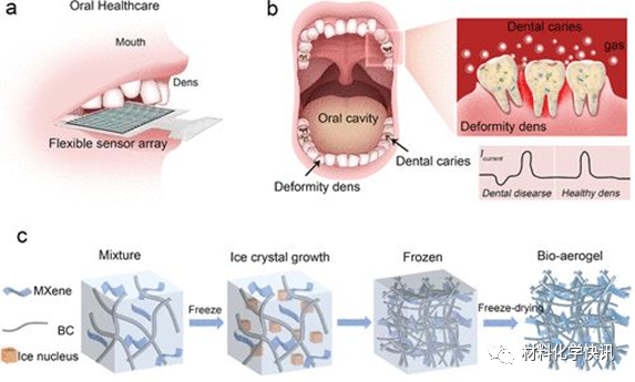 壳聚糖创伤敷料怎么样创面敷料、骨缺损、肌腱损伤、口腔黏膜、心肌梗死……多场景生物医用水凝胶材料定制上线！_https://www.jmylbn.com_新闻资讯_第15张