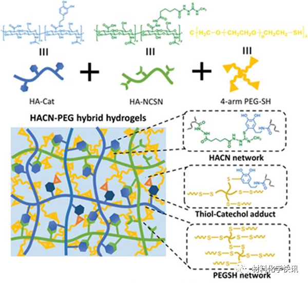 壳聚糖创伤敷料怎么样创面敷料、骨缺损、肌腱损伤、口腔黏膜、心肌梗死……多场景生物医用水凝胶材料定制上线！_https://www.jmylbn.com_新闻资讯_第25张