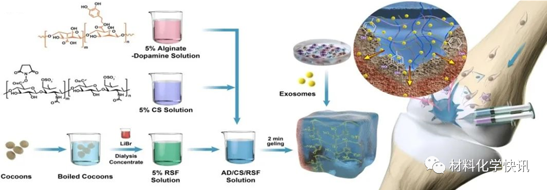 壳聚糖创伤敷料怎么样创面敷料、骨缺损、肌腱损伤、口腔黏膜、心肌梗死……多场景生物医用水凝胶材料定制上线！_https://www.jmylbn.com_新闻资讯_第11张