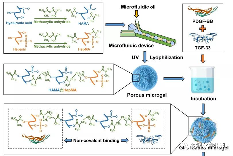 壳聚糖创伤敷料怎么样创面敷料、骨缺损、肌腱损伤、口腔黏膜、心肌梗死……多场景生物医用水凝胶材料定制上线！_https://www.jmylbn.com_新闻资讯_第19张
