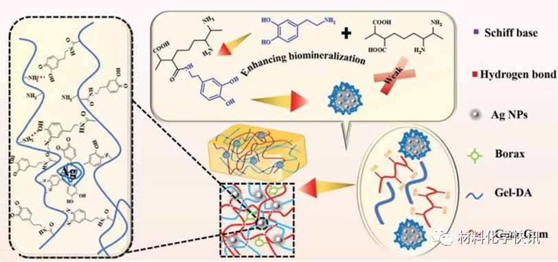 壳聚糖创伤敷料怎么样创面敷料、骨缺损、肌腱损伤、口腔黏膜、心肌梗死……多场景生物医用水凝胶材料定制上线！_https://www.jmylbn.com_新闻资讯_第10张