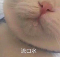 护肤保养的综艺节目_26岁干性皮肤女人如何保养护肤_日本有关护肤综艺