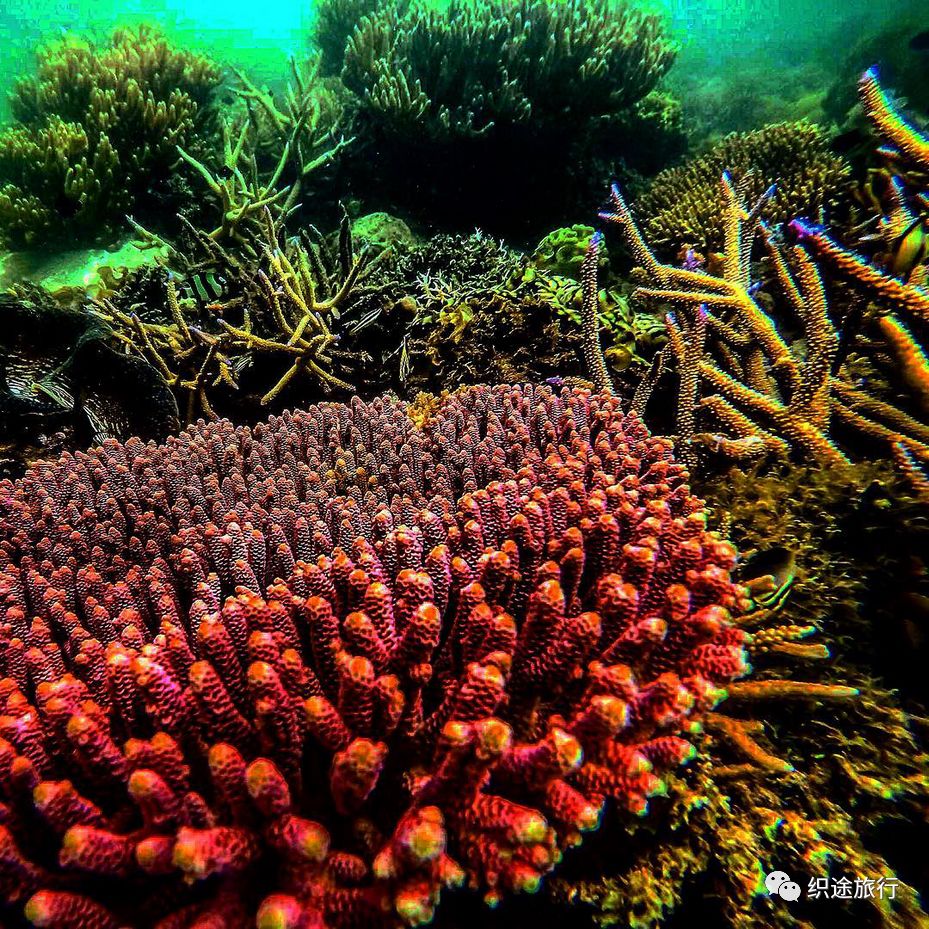 科隆岛 Coron Island 织途旅行 微信公众号文章阅读 Wemp