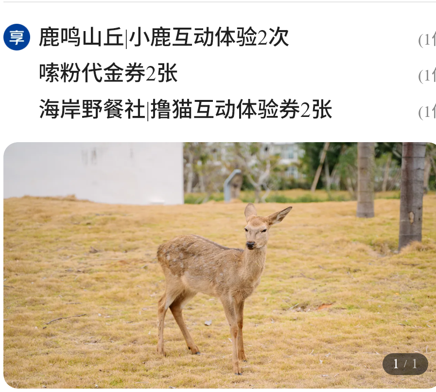 暑期多地酒店大促两三百起 周末不加价有效期至年底