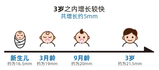 什么是屈光筛查仪小熊科普 ｜ 视力、屈光、眼轴、远视储备都是什么，听小熊君来解读_https://www.jmylbn.com_新闻资讯_第10张